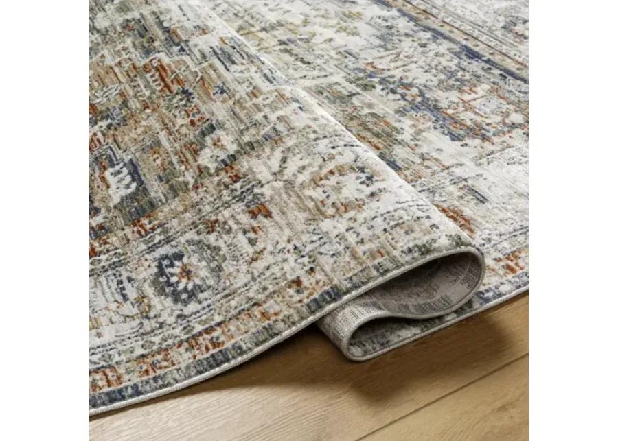 Edmonton EDO-2301 6'7" x 9' Machine Woven Rug