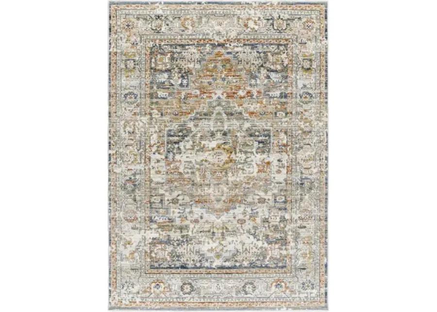 Edmonton EDO-2301 6'7" x 9' Machine Woven Rug