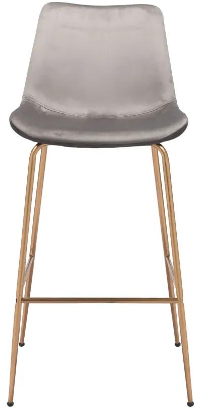 Tony Barstool Gray & Gold