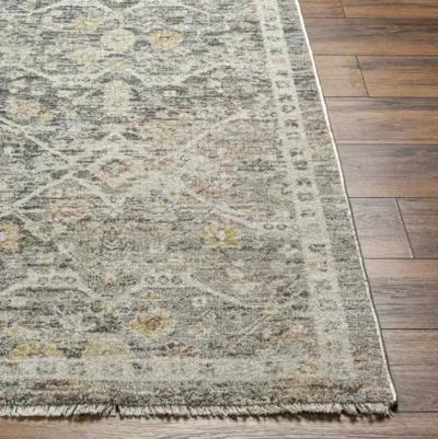 Rojin ROJ-2301 9' x 13'1" Machine Woven Rug