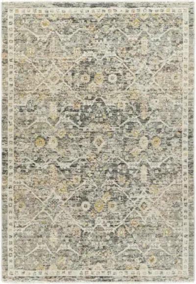 Rojin ROJ-2301 9' x 13'1" Machine Woven Rug