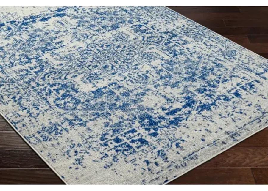 Harput 10' x 14' Rug