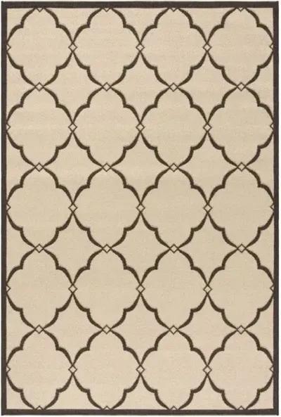 LINDEN 125 Collection LND125U-4 Creme / Brown 4' X 6'