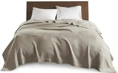 Madison Park Egyptian Cotton Khaki Blanket