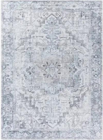 Embrace EMA-2303 7'10" x 10' Machine Woven Rug