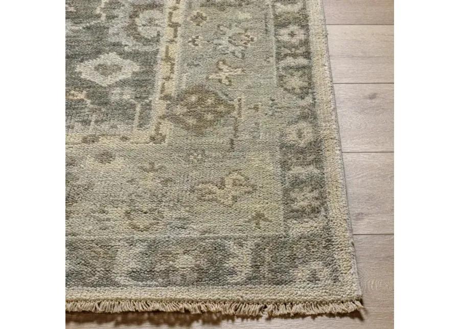 Biscayne BSY-2316 2' x 3' Handmade Rug