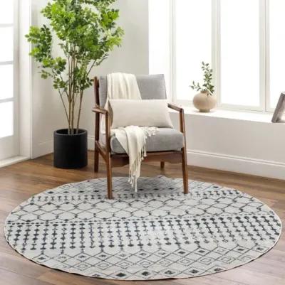 Lavadora 6'7" Round Rug