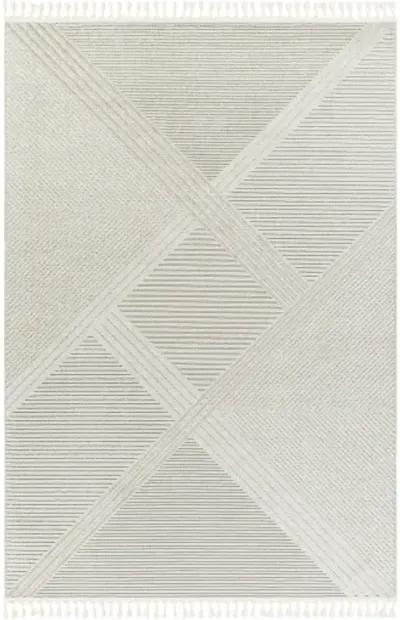 Finland FND-2304 2'7" x 7'3" Machine Woven Rug