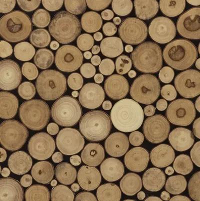 INK+IVY Topi Natural Natural Wood Slice Mosaic Wall Decor