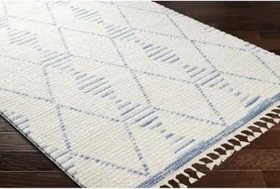 Valencia VLC-2317 2' x 2'11" Machine Woven Rug