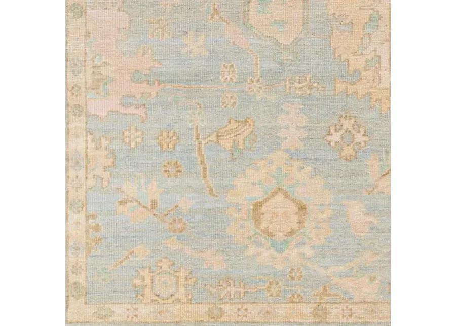 Antalya AAT-2310 12' x 15' Handmade Rug