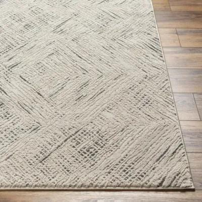 Alder ALD-2313 7'7" x 10' Machine Woven Rug