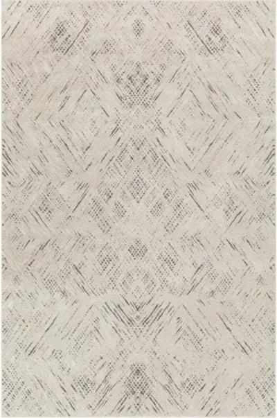 Alder ALD-2313 7'7" x 10' Machine Woven Rug