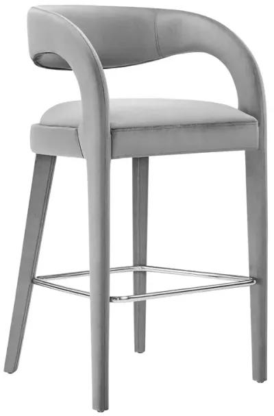 Pinnacle Performance Velvet Bar Stool Set of Two