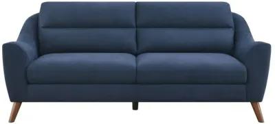 Gano 2-piece Sloped Arm Living Room Set Navy Blue