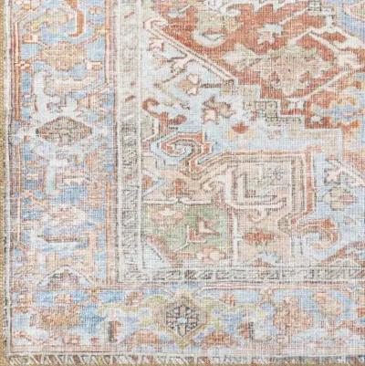 Alanya ALY-2305 2'7" x 7'3" Rug