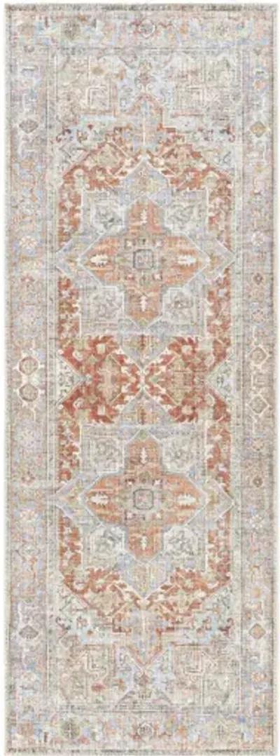 Alanya ALY-2305 2'7" x 7'3" Rug