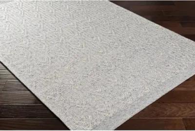 Napoli NPO-2315 5' x 7'6" Hand Made Rug