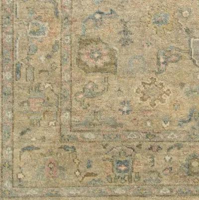 Biscayne BSY-2319 9' x 12' Handmade Rug