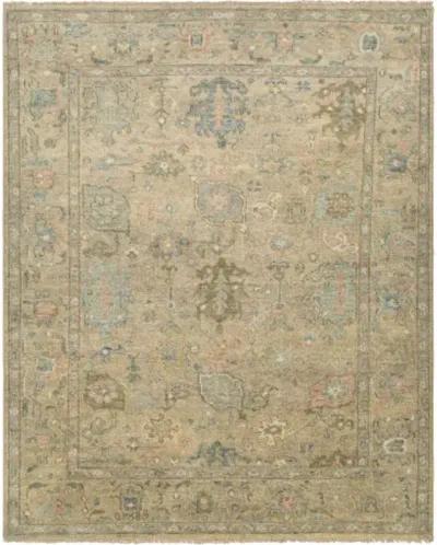 Biscayne BSY-2319 9' x 12' Handmade Rug