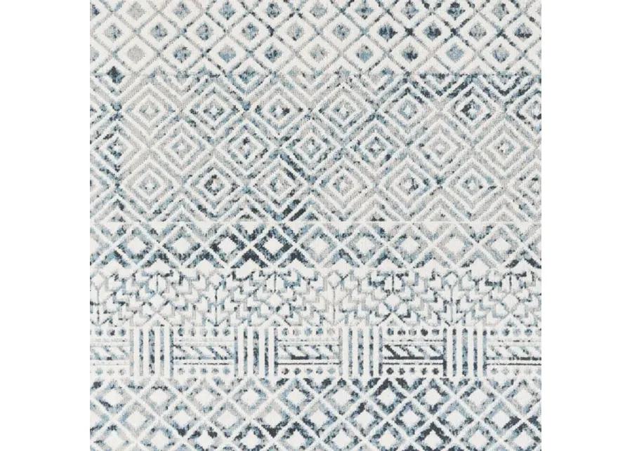 Lavadora 5'3" x 7' Rug