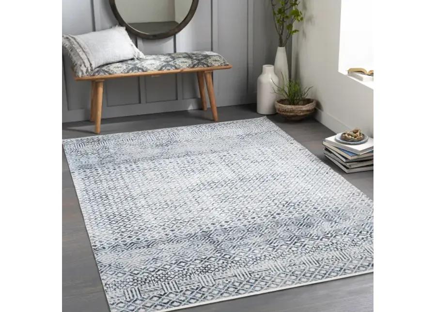 Lavadora 5'3" x 7' Rug