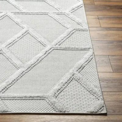 West Palm WPM-2305 2'7" x 7'3" Machine Woven Rug