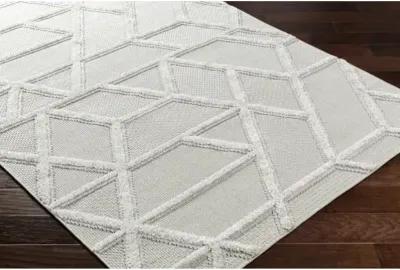 West Palm WPM-2305 2'7" x 7'3" Machine Woven Rug