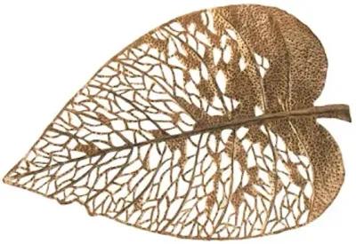 birch leaf wall art, copper, md