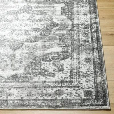 Monte Carlo MNC-2351 5'3" x 7'3" Machine Woven Rug