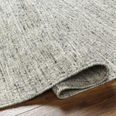 Hamburg HMB-2301 8' x 10' Hand Made Rug