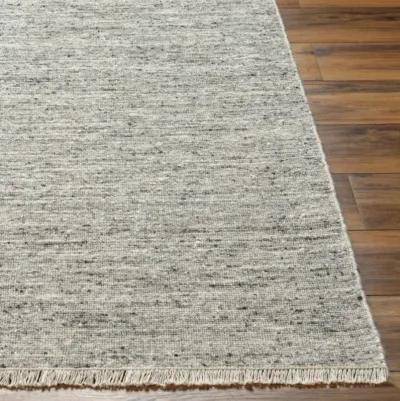 Hamburg HMB-2301 8' x 10' Hand Made Rug