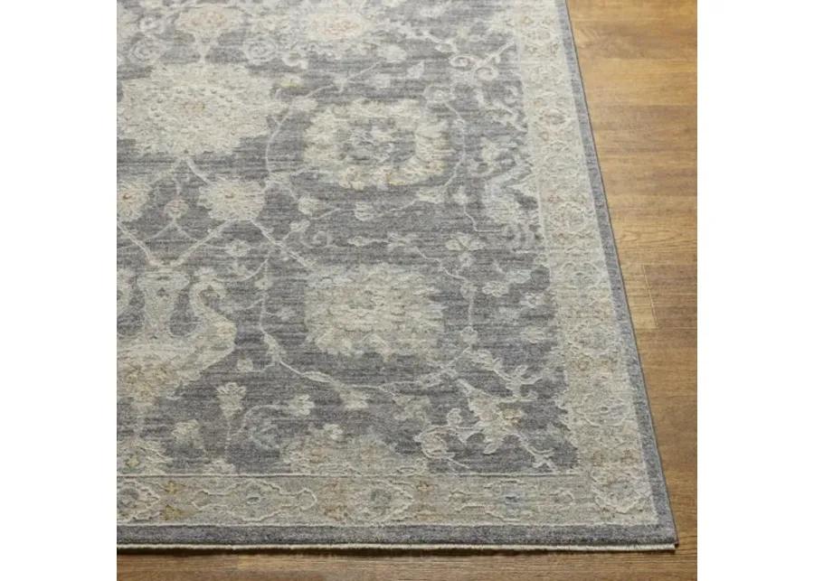 Avant Garde AVT-2306 2'7" x 7'3" Rug