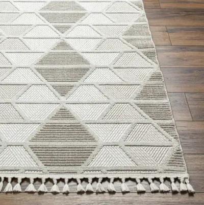 Finland FND-2301 6'7" x 9' Machine Woven Rug