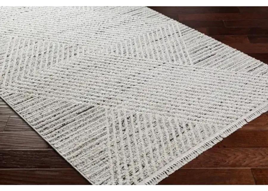 Berlin BLR-2302 6'7" x 9' Machine Woven Rug