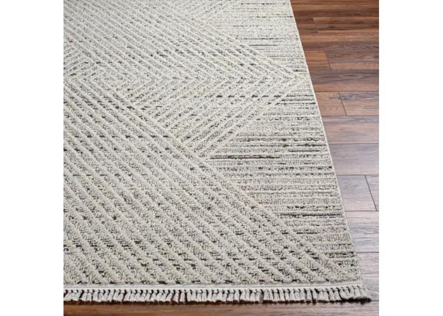 Berlin BLR-2302 6'7" x 9' Machine Woven Rug