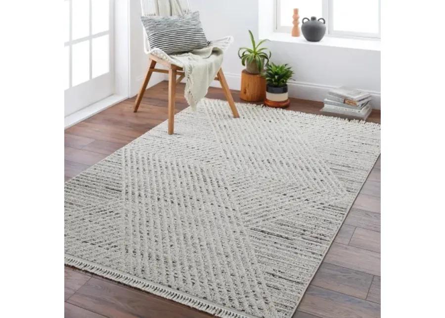 Berlin BLR-2302 6'7" x 9' Machine Woven Rug