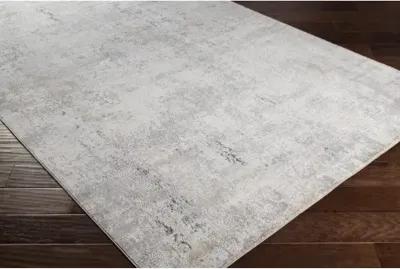 Norland 10' x 14' Rug