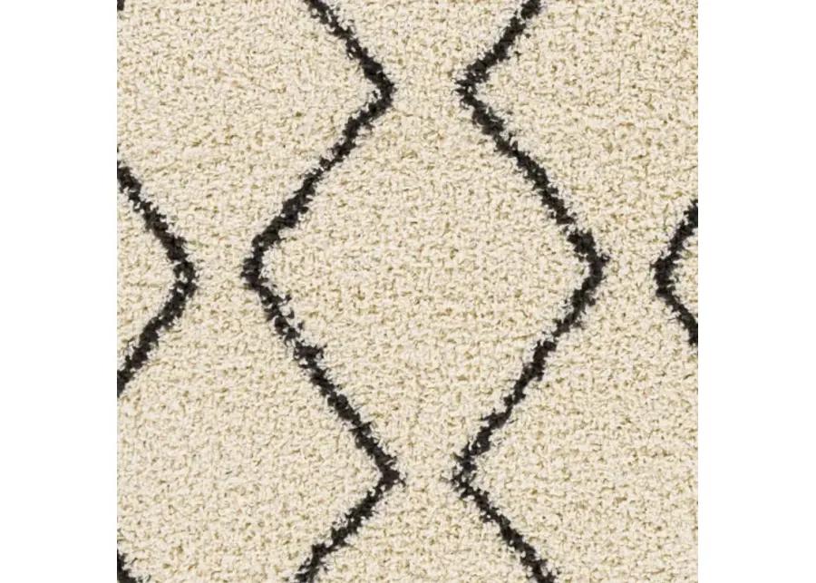 Beni shag 5'3" x 7' Rug