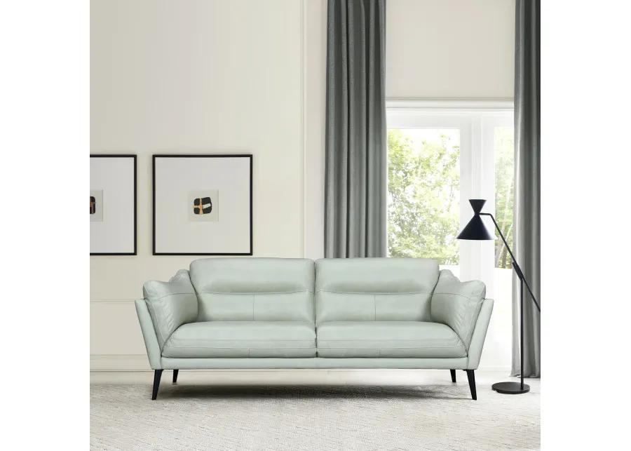 Franz Mint Leather Sofa