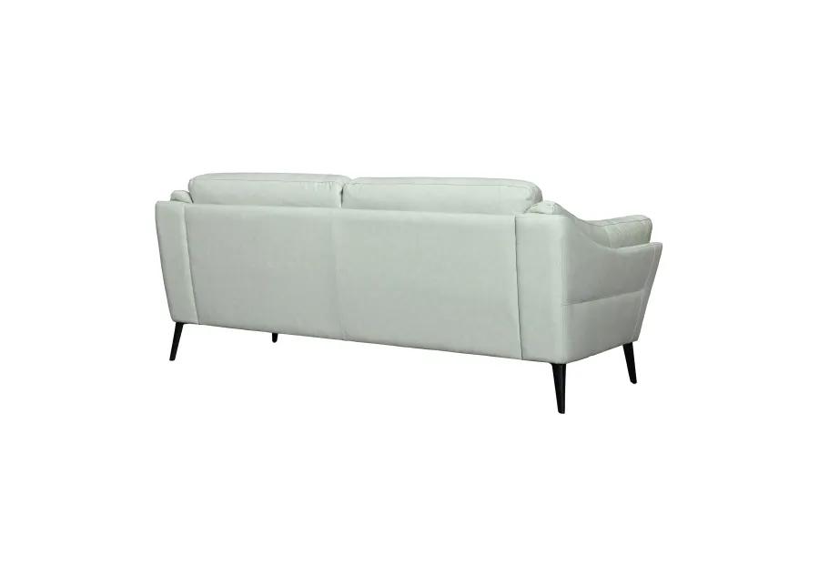 Franz Mint Leather Sofa