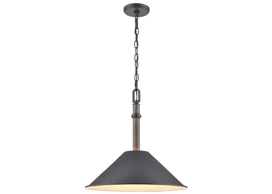 Neville 18'' Wide 1-Light Pendant - Charcoal Black