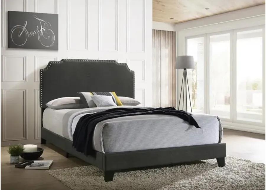 Tamarac Upholstered Nailhead Eastern King Bed Grey