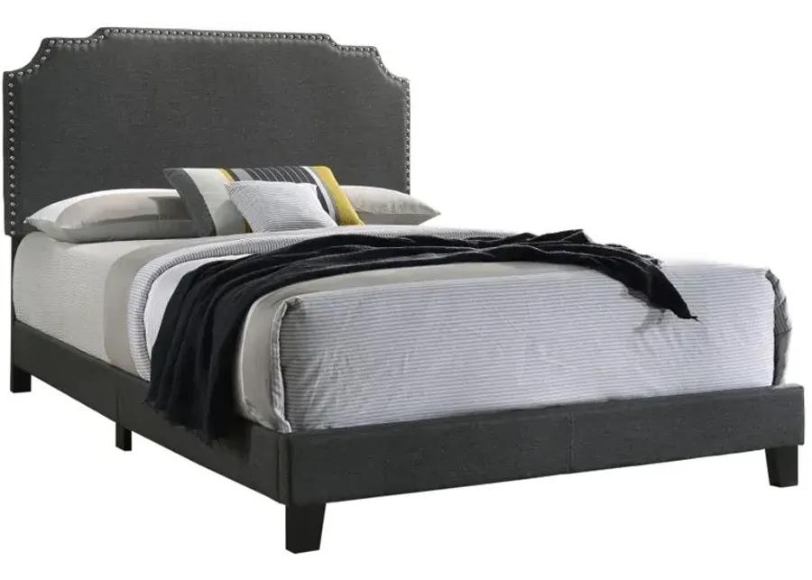 Tamarac Upholstered Nailhead Eastern King Bed Grey