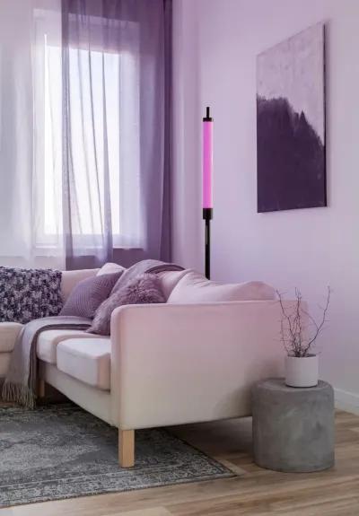 Collin LED Color Changing Floor Lamp