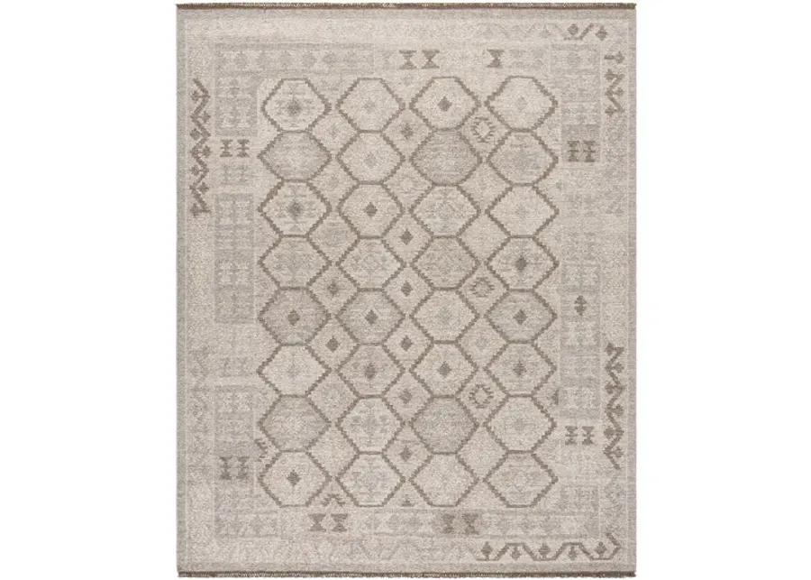 Tempe TPE-2302 9' x 12' Handmade Rug