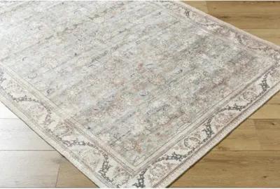 Amelie AML-2398 2'7" x 7'10" Machine Woven Rug