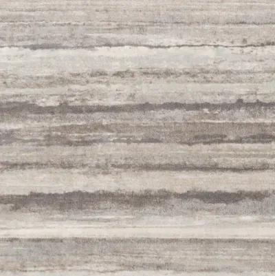 Roma ROM-2306 2'7" x 10' Rug