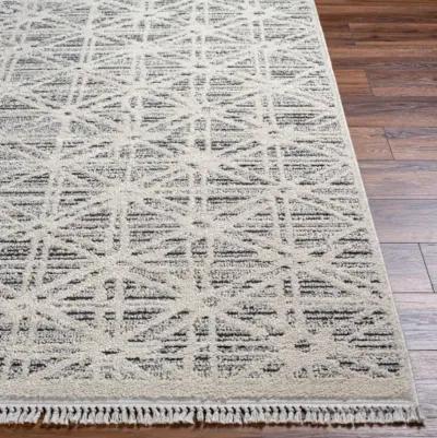 Berlin BLR-2304 5'3" x 7' Machine Woven Rug