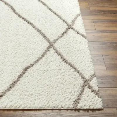 Maryland Shag MSG-2302 6'7" x 9' Machine Woven Rug